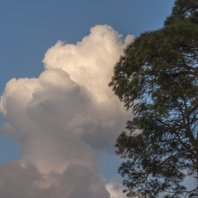 "Beautiful Clouds" stock image