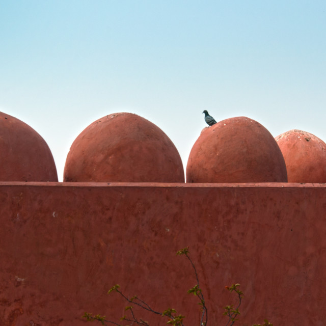 "The Pinjor Gardens or Yadavindra Gardens" stock image