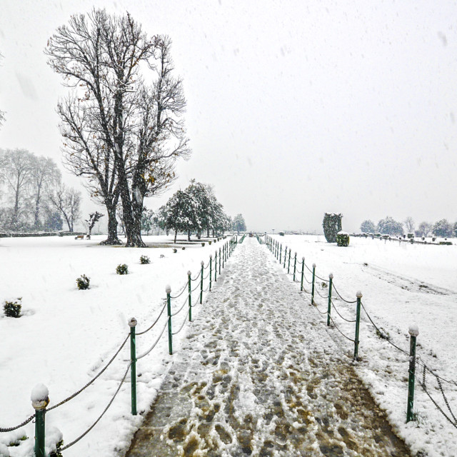 "Nishat Bagh (Garden), Srinagar" stock image