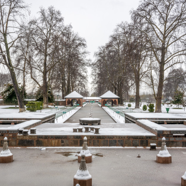 "Nishat Bagh (Garden), Srinagar" stock image