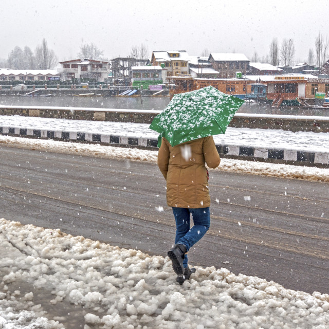 "A Walk In the Snow." stock image