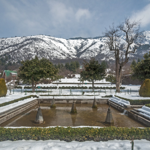 "The Mughal Garden, Cheshmashahi, Srinagar." stock image