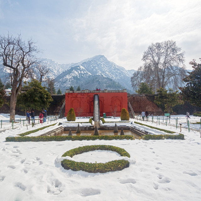 "The Mughal Garden, Cheshmashahi, Srinagar." by www.nishantdavid.ca - $16.51 "The Mughal Garden, Cheshmashahi, Srinagar." stock image