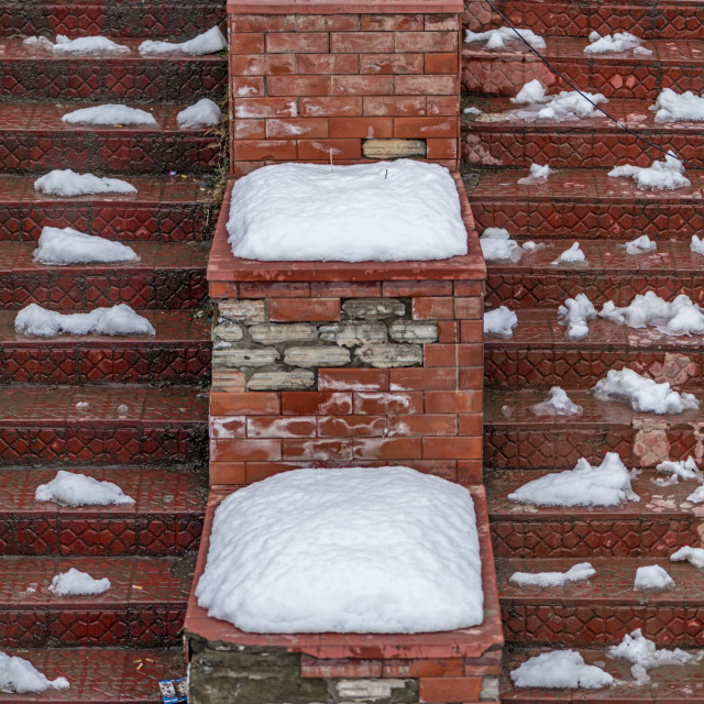 "A Beautiful Natural Pattern" stock image