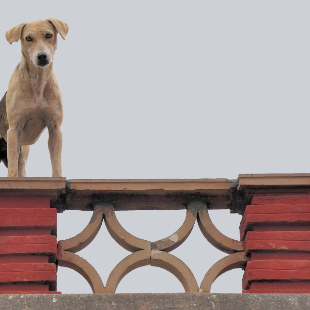 "Jantar Mantar" stock image