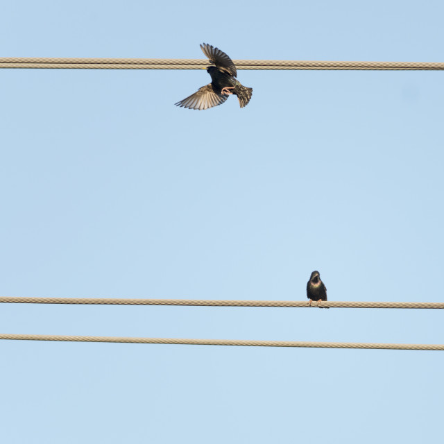 "Bidding Adieu" by www.nishantdavid.ca - $16.51 "Bidding Adieu" stock image