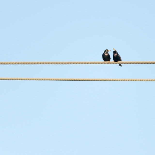 "Two" by www.nishantdavid.ca - $16.51 "Two" stock image
