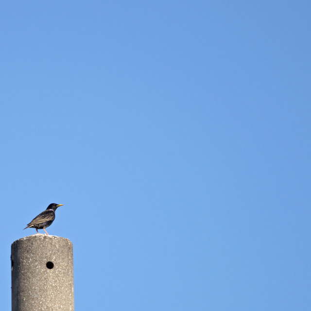 "Pinnacle" by www.nishantdavid.ca - $16.51 "Pinnacle" stock image