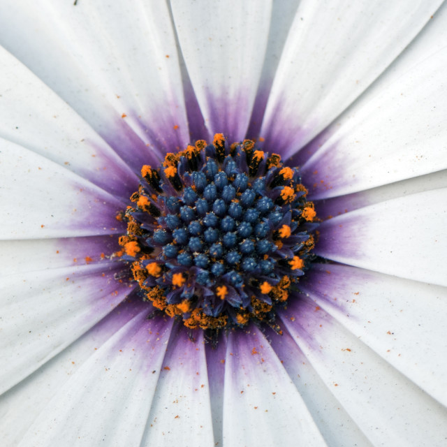 "God's Handiwork" stock image