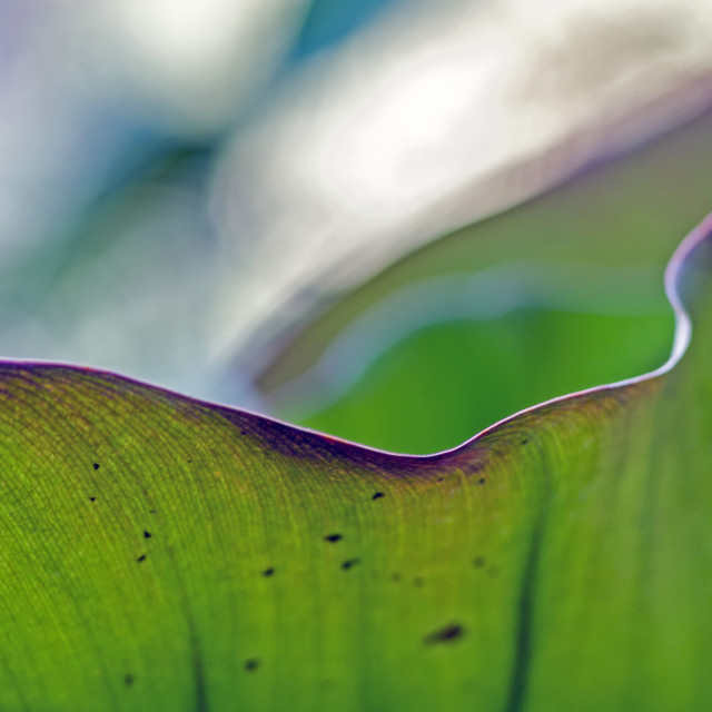 "God's Amazing Handiwork" stock image