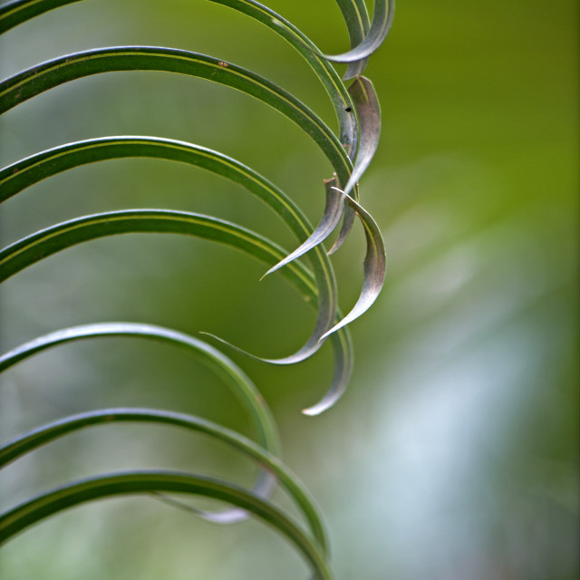 "God's Amazing Handiwork" stock image