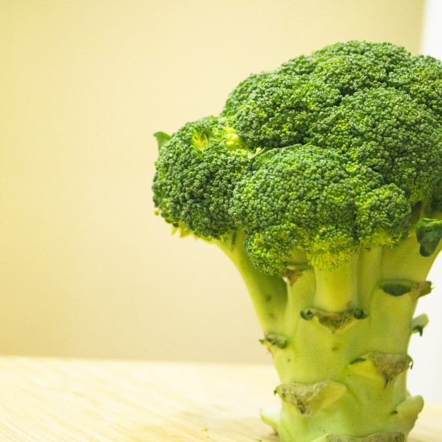 "Standing broccoli simulating a tree" stock image