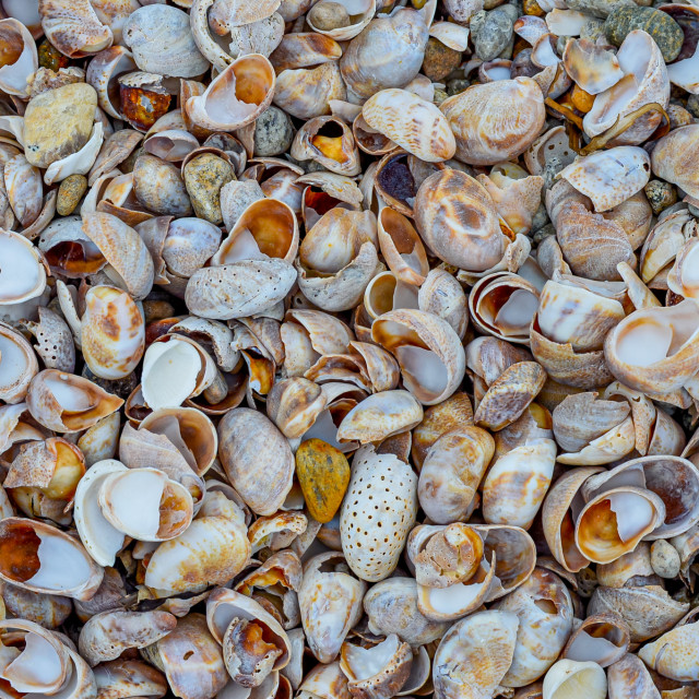 "By The Ocean" by Works By Willow - $18.85 "By The Ocean" stock image