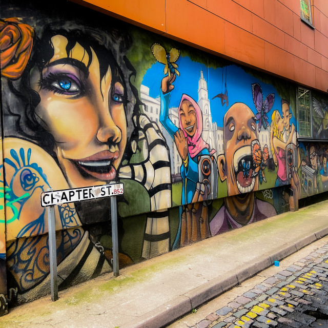 "Rose hanging out on Chapter Street" stock image