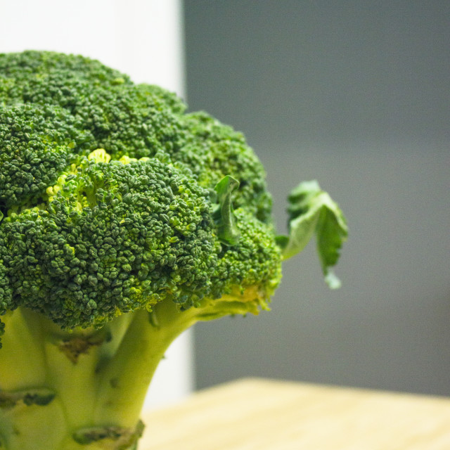 "Standing broccoli simulating a tree" stock image