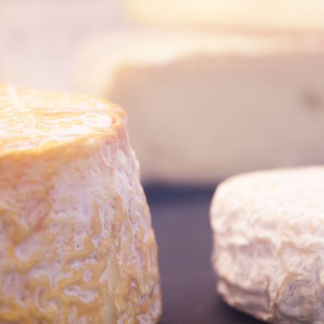 "Selection of gourmet cheeses" stock image