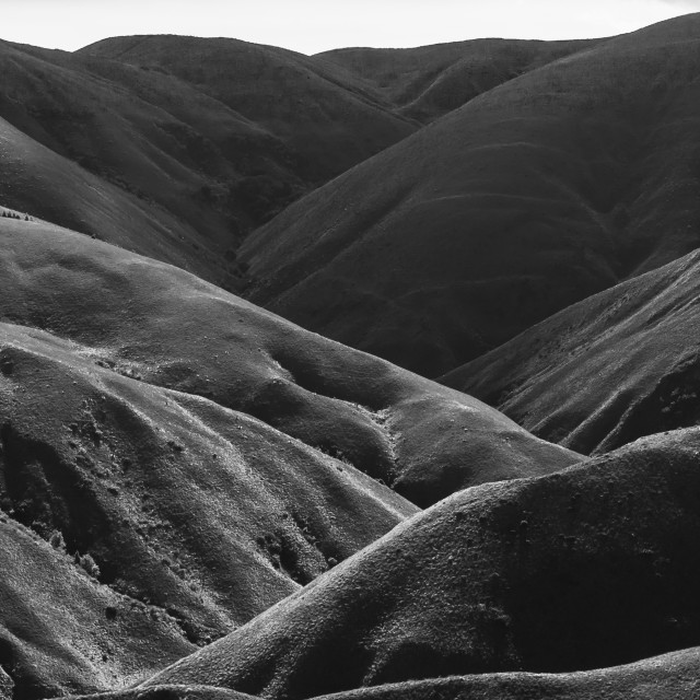 "PÁRAMO FROM ECUADOR" by Joan - $6.12 "PÁRAMO FROM ECUADOR" stock image