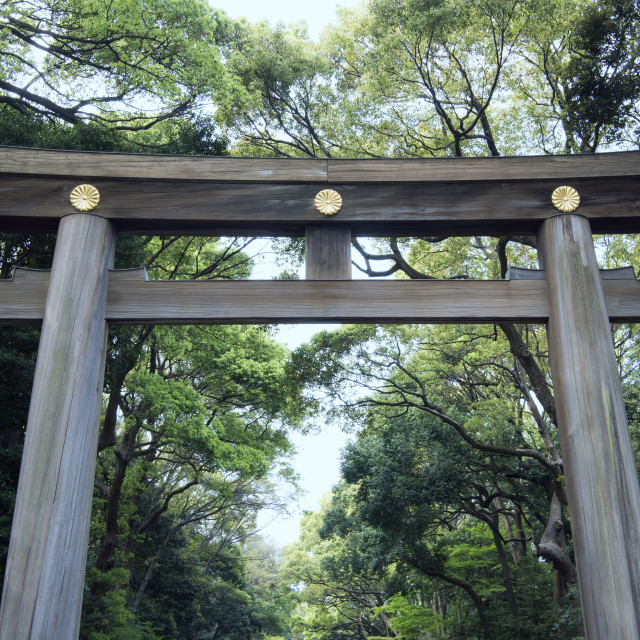 "Temple tokyo" stock image