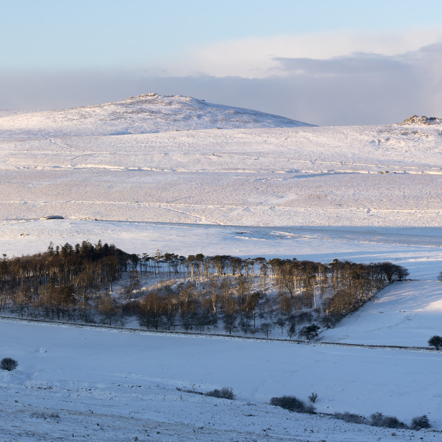 "Dartmoor Winter Panorama" by Bruce Little - £20.00 "Dartmoor Winter Panorama" stock image