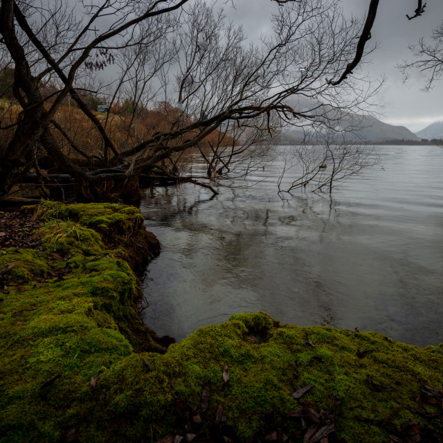 "Lake Hayes" by Capture and Keep Photography - £10.00 "Lake Hayes" stock image