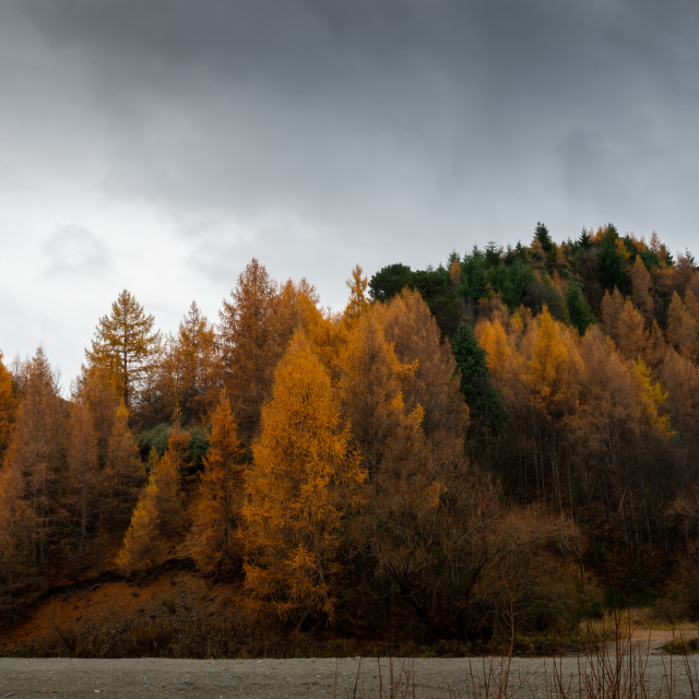 "Autumn in Arrowtown" by Capture and Keep Photography - £10.00 "Autumn in Arrowtown" stock image