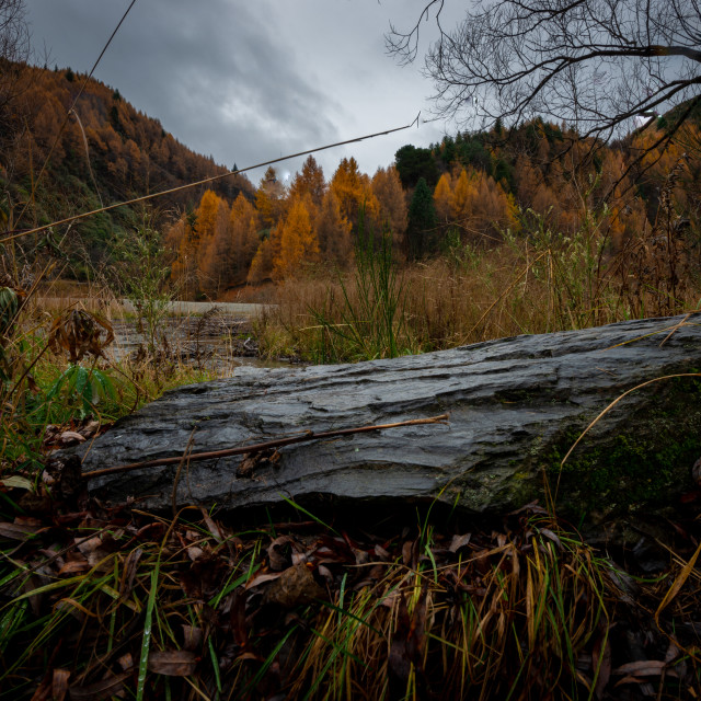 "Arrowtown Colours" by Capture and Keep Photography - £10.00 "Arrowtown Colours" stock image