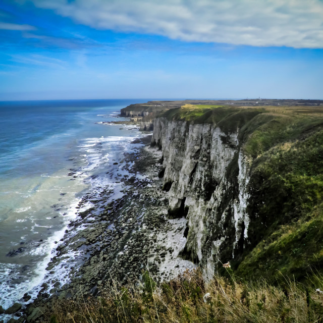 "Bempton Cliffs" stock image