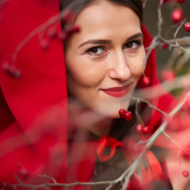 "Red Riding Hood cosplay in the forest" stock image