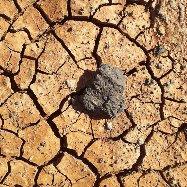 "Stone on baked earth, Lanzarote, Canary Islands" stock image