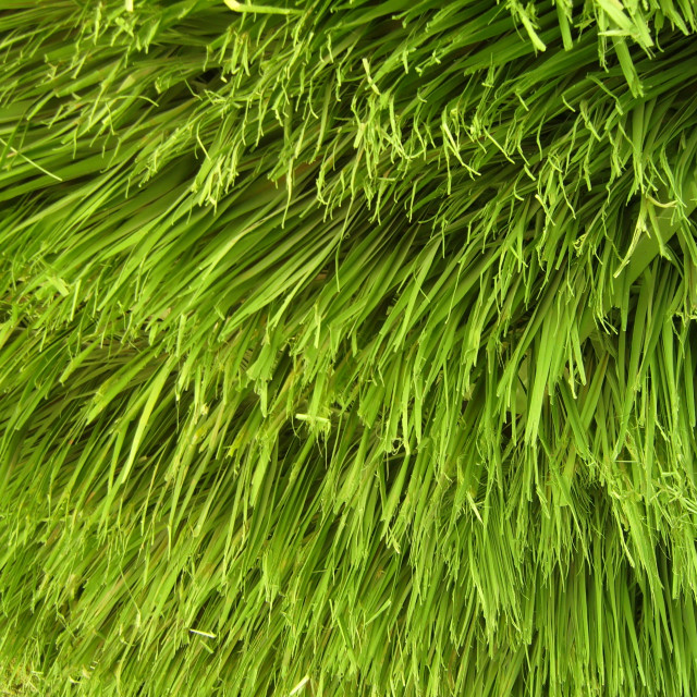 "Fake Palm Fronds on Beach Bar Roof" stock image