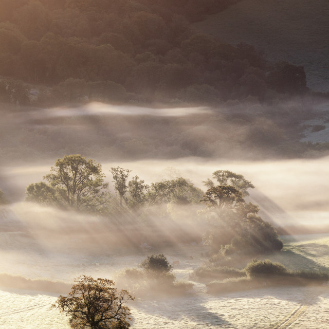 "Fog Under Wind Tor, Dartmoor" by Bruce Little - £20.00 "Fog Under Wind Tor, Dartmoor" stock image