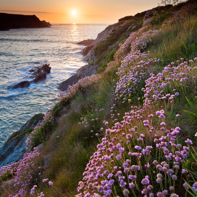 "Thrifty Sunset Porth Joke" by Bruce Little - £20.00 "Thrifty Sunset Porth Joke" stock image