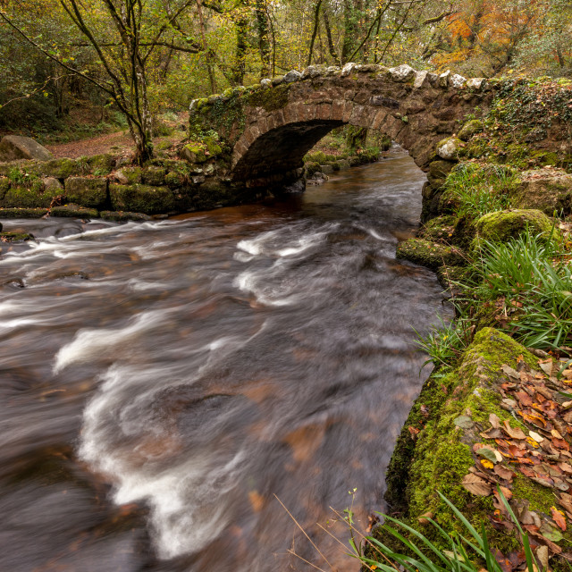 "Hisley Bridge" by Bruce Little - £20.00 "Hisley Bridge" stock image