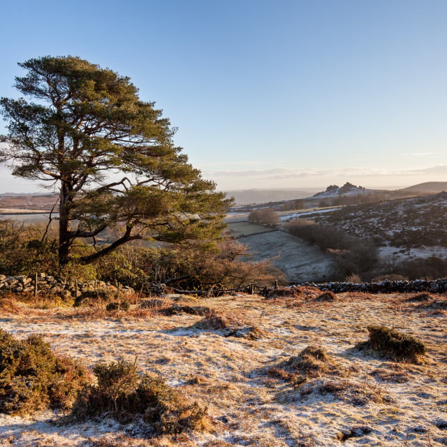 "Frosty Dartmoor morning" by Bruce Little - £20.00 "Frosty Dartmoor morning" stock image