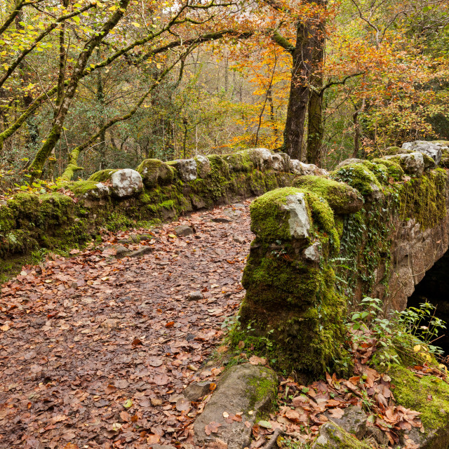 "Hisley Bridge" by Bruce Little - £20.00 "Hisley Bridge" stock image