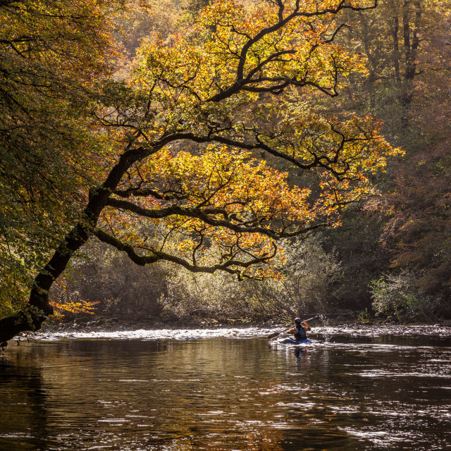 "Kayaker on the River Dart in Hembury Woods" by Bruce Little - £20.00 "Kayaker on the River Dart in Hembury Woods" stock image