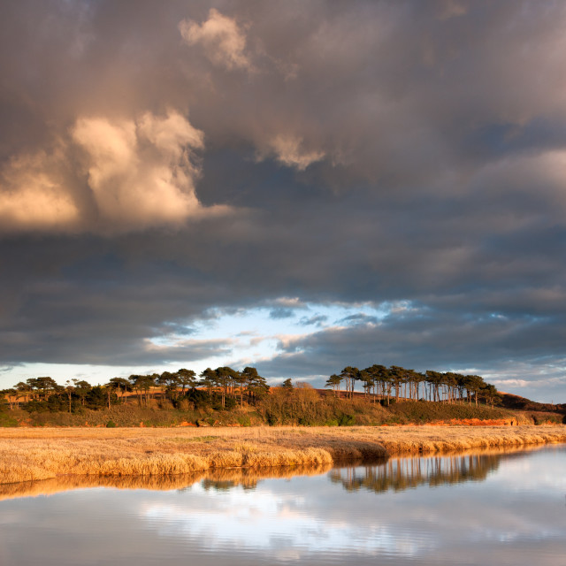 "Late afternoon sun at the Otter Estuary" by Bruce Little - £20.00 "Late afternoon sun at the Otter Estuary" stock image