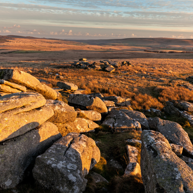 "Little Bee tor" by Bruce Little - £20.00 "Little Bee tor" stock image