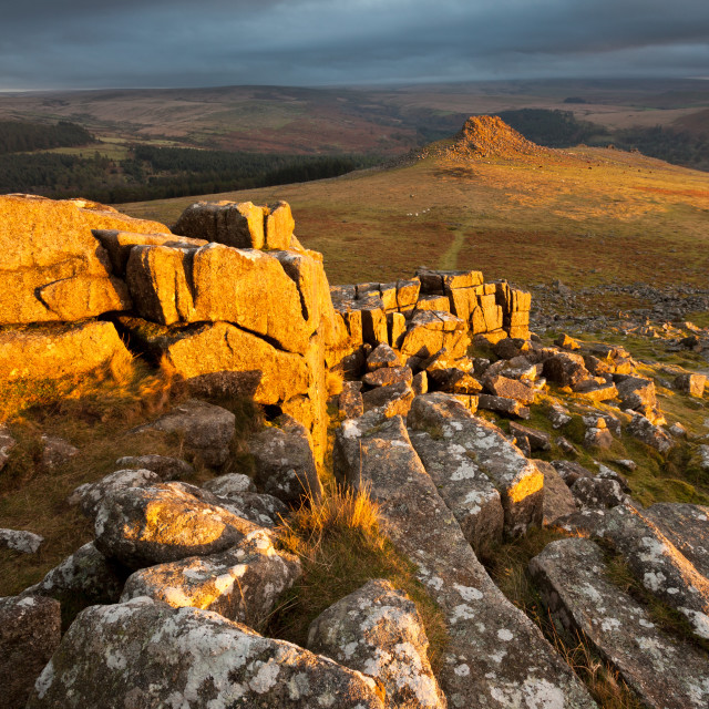 "View south from Sharpitor" by Bruce Little - £20.00 "View south from Sharpitor" stock image