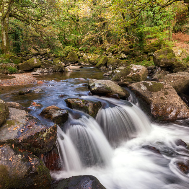 "Falls on the Plym, Dewerstone Woods" by Bruce Little - £20.00 "Falls on the Plym, Dewerstone Woods" stock image