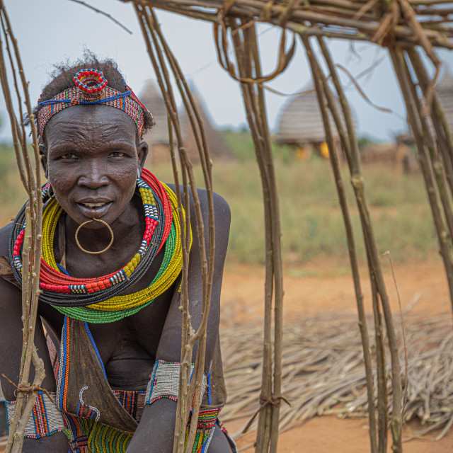 "A Toposa woman building a traditional house" stock image