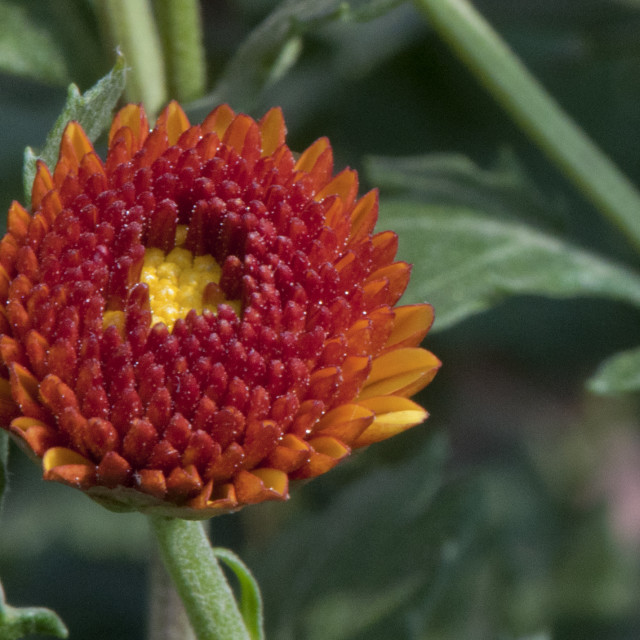 "God's Amazing Handiwork" stock image