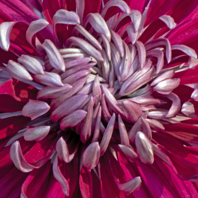 "God's Amazing Handiwork" by www.nishantdavid.ca - $15.67 "God's Amazing Handiwork" stock image