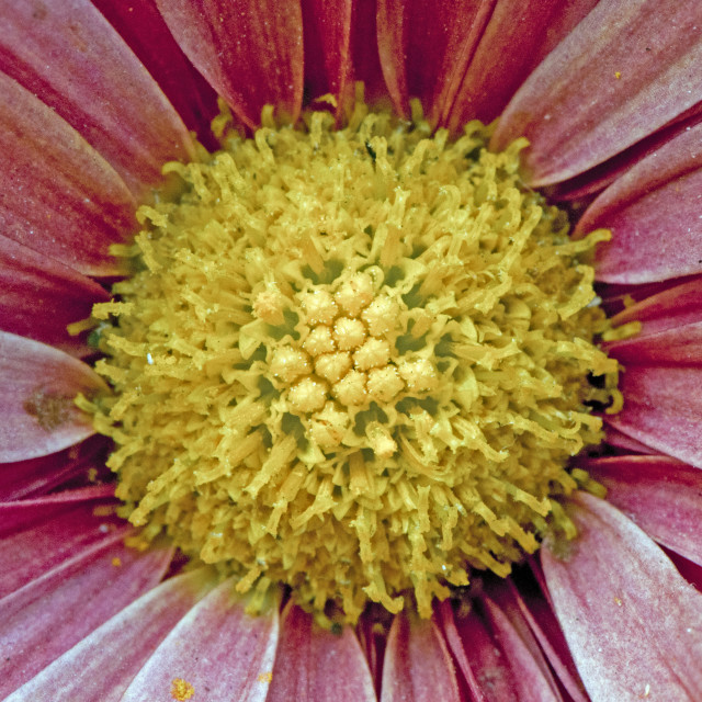 "God's Amazing Handiwork" stock image