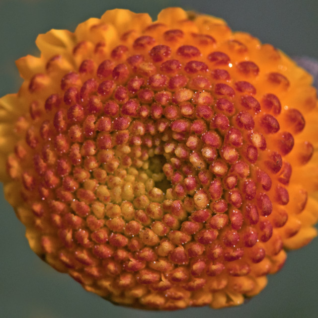 "God's Amazing Handiwork" stock image