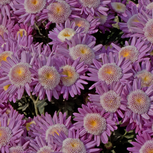 "God's Amazing Handiwork" by www.nishantdavid.ca - $16.51 "God's Amazing Handiwork" stock image