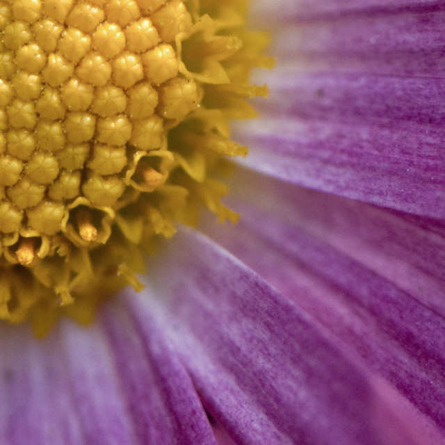 "God's Amazing Handiwork" stock image