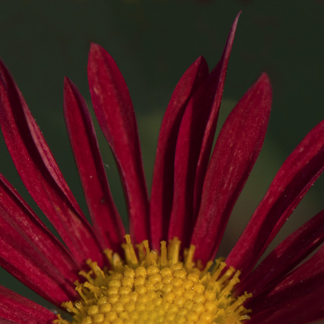 "God's Amazing Handiwork" stock image