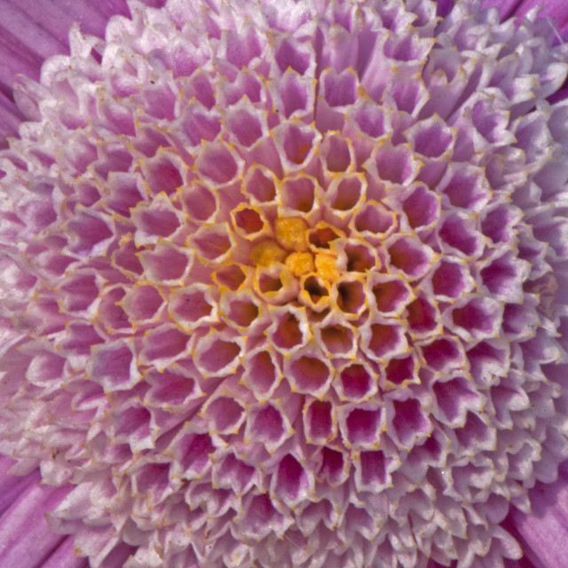 "God's Amazing Handiwork" by www.nishantdavid.ca - $16.51 "God's Amazing Handiwork" stock image
