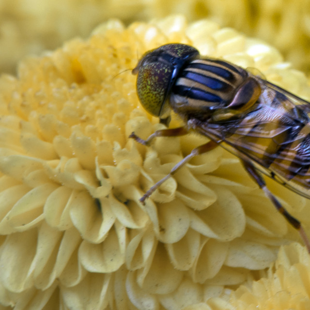 "God's Amazing Handiwork" stock image